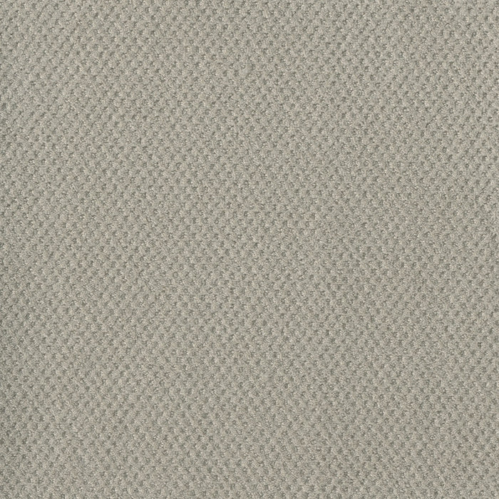 Moon Bay Polyester Snow Cap 6319 Carpet Loop 1