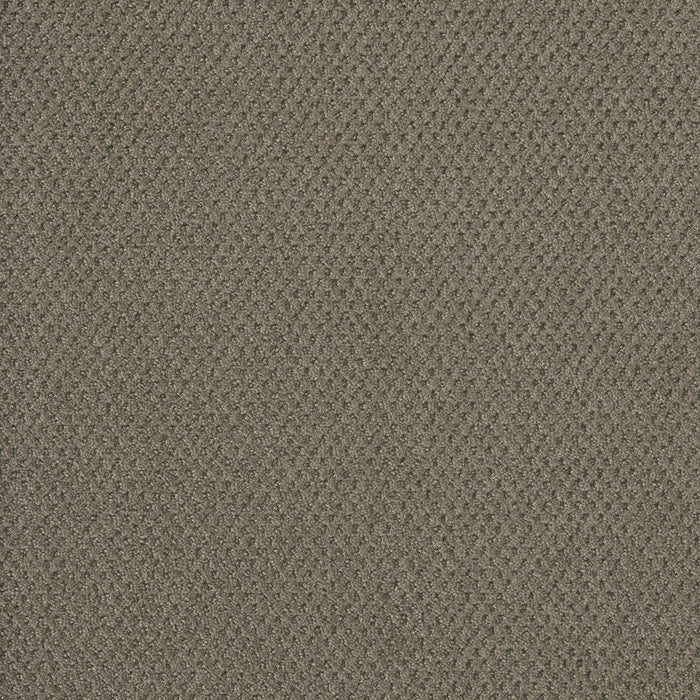 Moon Bay Polyester Topaz 6410 Carpet Loop 1