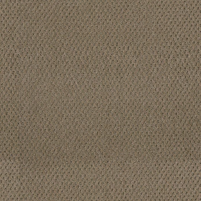 Moon Bay Polyester Deer Path 6564 Carpet Loop 1