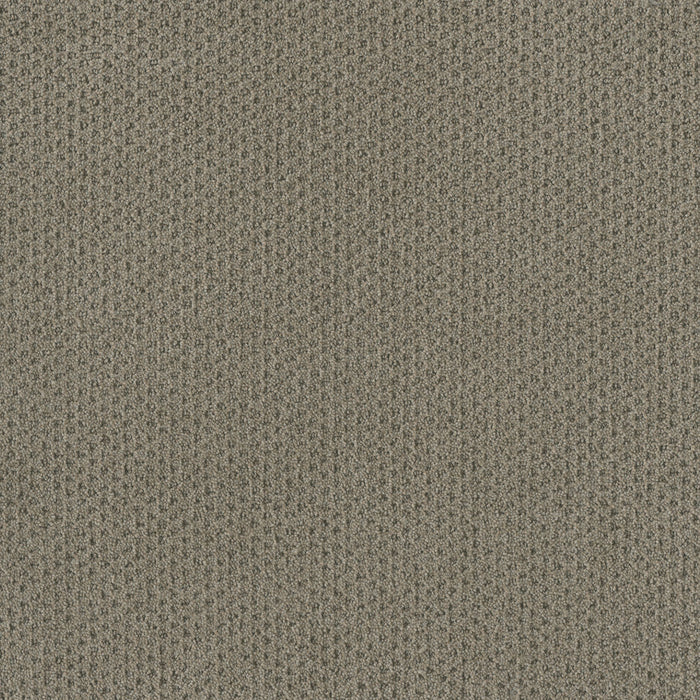Moon Bay Polyester Timber Ridge 6841 Carpet Loop 1