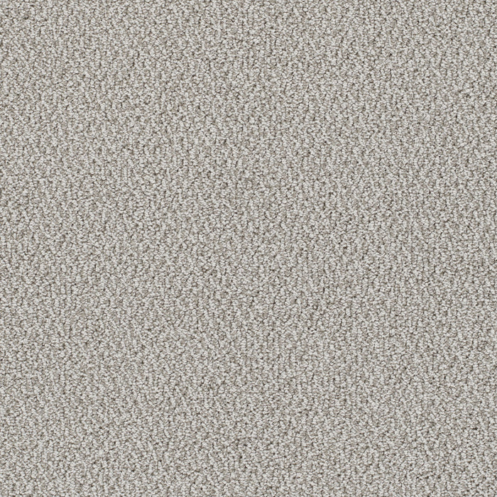 Palazzo Polyester Riviera 2330 Carpet Loop 1