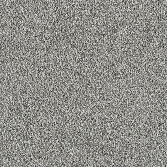 Palazzo Polyester Royalty 2537 Carpet Loop 1