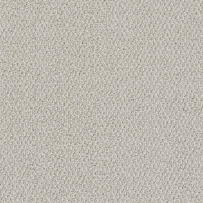 Palazzo Polyester Serene 2592 Carpet Loop 1