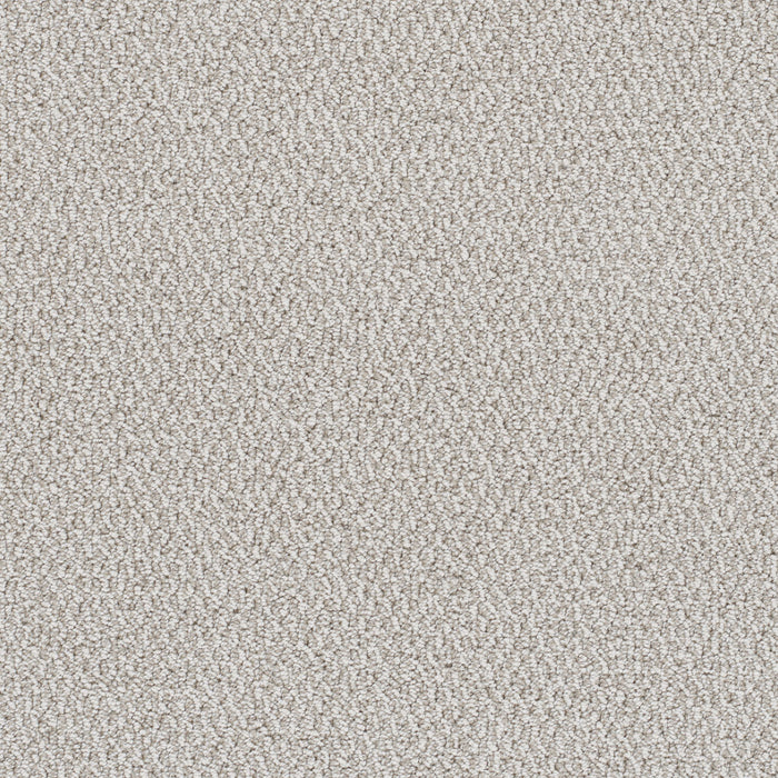 Palazzo Polyester Iconic 2792 Carpet Loop 1