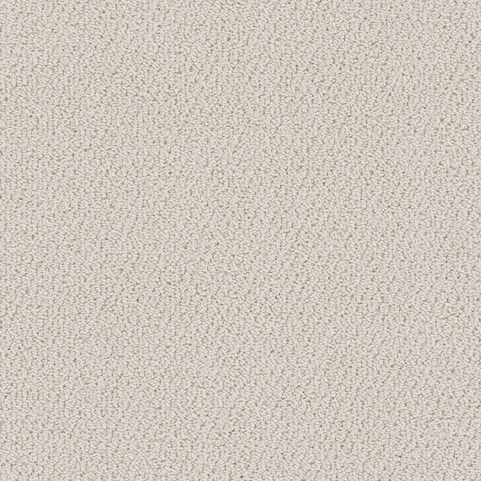 Palazzo Polyester Magnificent 2872 Carpet Loop 1