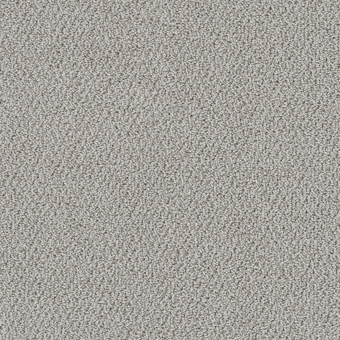 Palazzo Polyester Romantic 2988 Carpet Loop 1