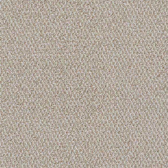 Palazzo Polyester Capri 4127 Carpet Loop 1