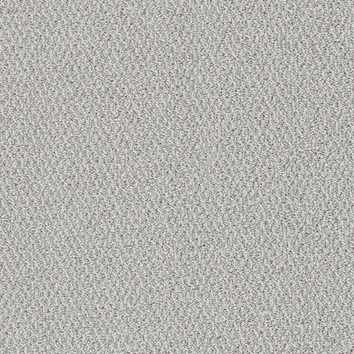 Palazzo Polyester Nautilus 4328 Carpet Loop 1