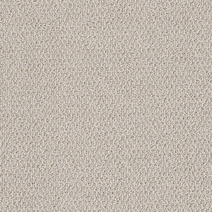 Palazzo Polyester Bay Dream 4539 Carpet Loop 1