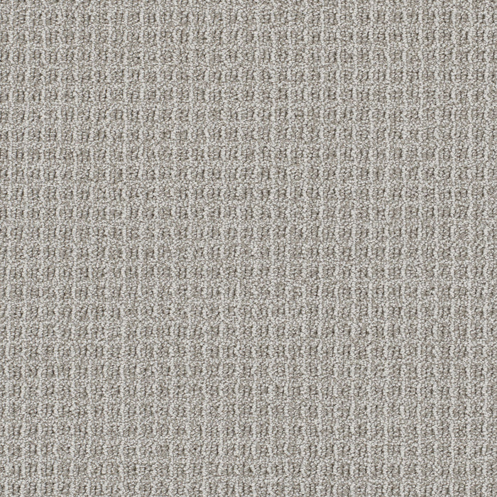 Valencia Polyester Riviera 2330 Carpet Loop 1