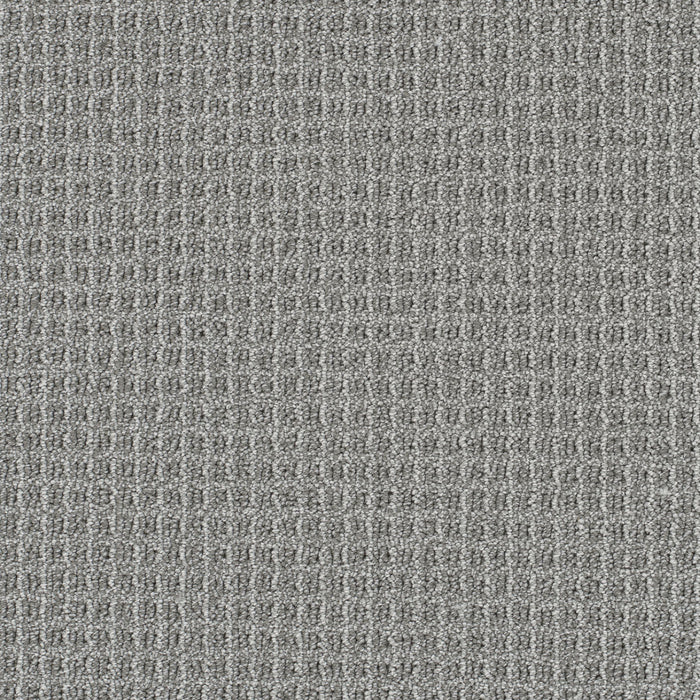 Valencia Polyester Royalty 2537 Carpet Loop 1