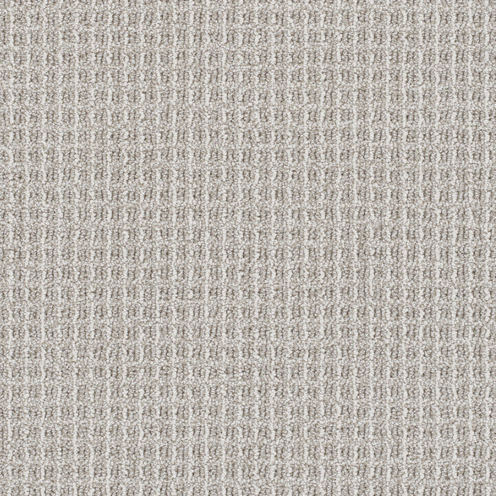 Valencia Polyester Iconic 2792 Carpet Loop 1