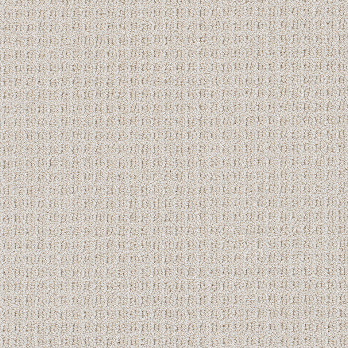 Valencia Polyester Magnificent 2872 Carpet Loop 1