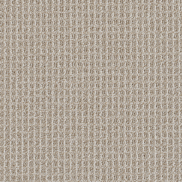 Valencia Polyester Capri 4127 Carpet Loop 1