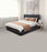 Valencia Polyester Iconic 2792 Carpet Loop 2