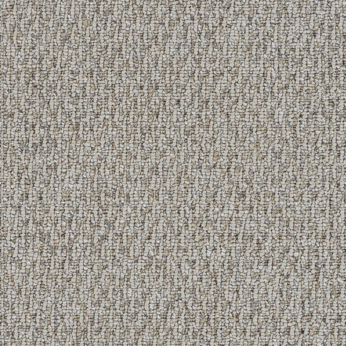 Nimbus Polyester Sandpiper 2350 Carpet Loop 1