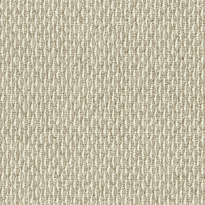 Nimbus Polyester Accolade 2398 Carpet Loop 1