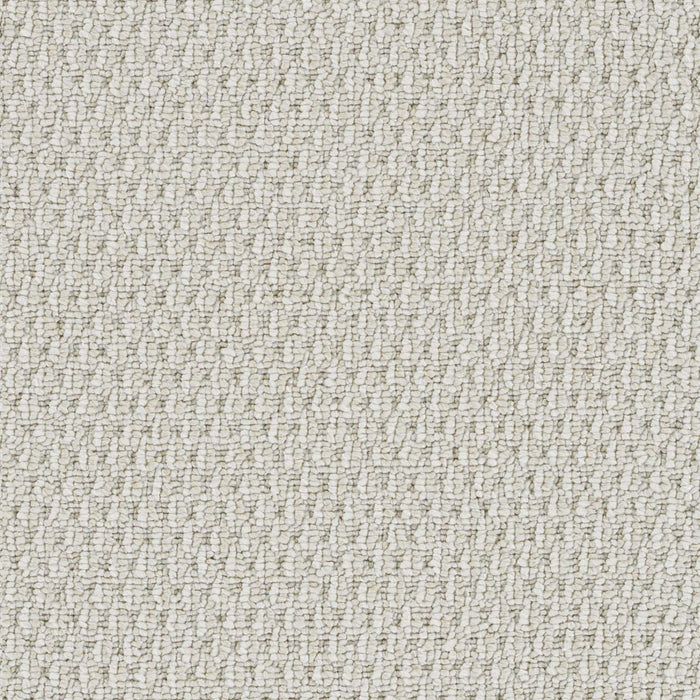 Nimbus Polyester Oatmeal 2552 Carpet Loop 1