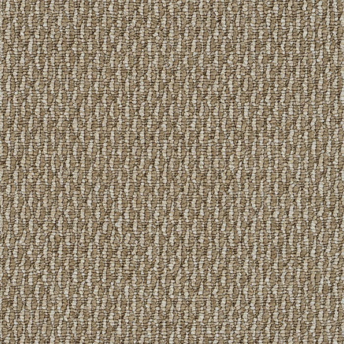 Nimbus Polyester Toffee 2687 Carpet Loop 1