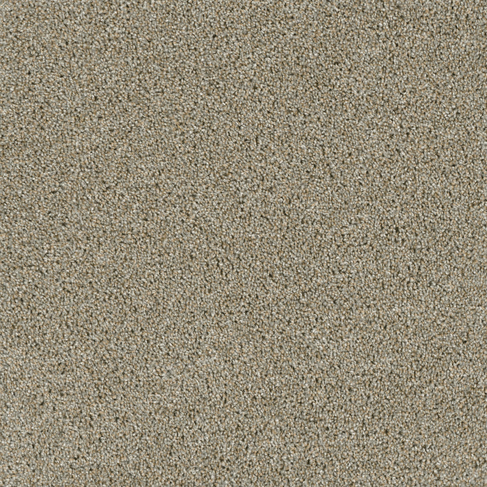 Acclaim Polyester Rhinestone 116 Carpet Textured 1