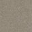 Acclaim Polyester Vela 164 Carpet Textured 1