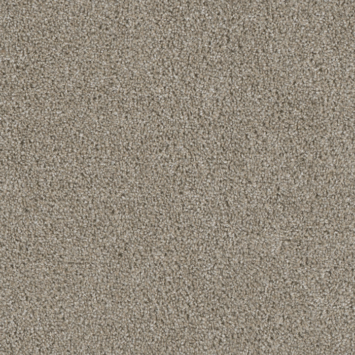 Acclaim Polyester Vela 164 Carpet Textured 1