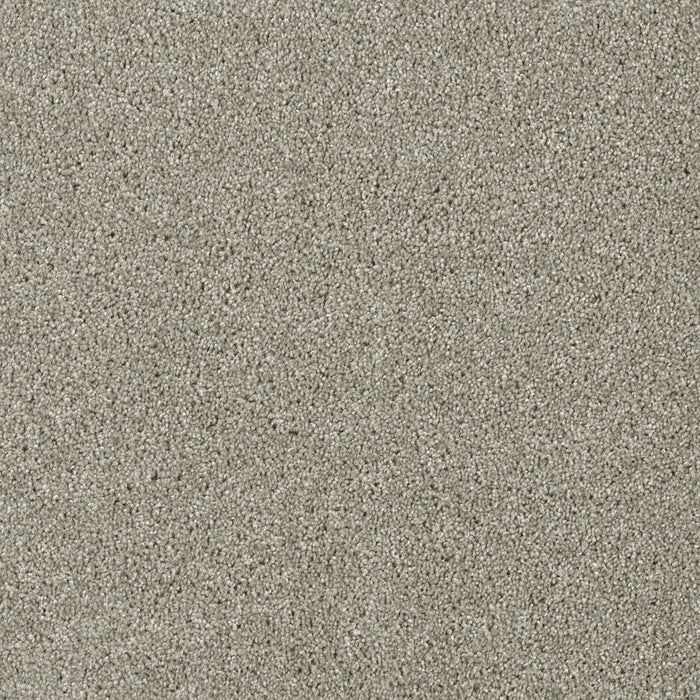 Acclaim Polyester Jet Stream 200 Carpet Textured 1