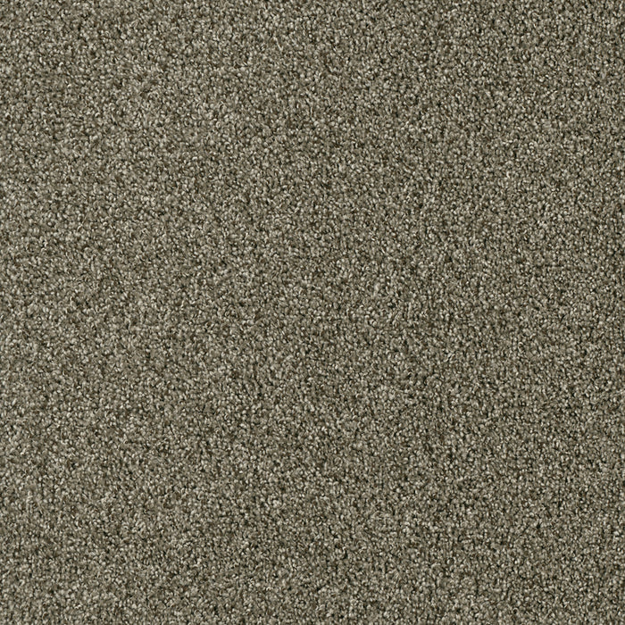Acclaim Polyester Monaco 244 Carpet Textured 1