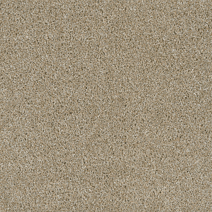 Acclaim Polyester Outback 298 Carpet Textured 1