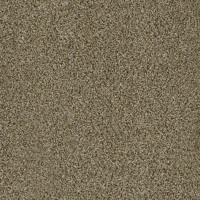 Acclaim Polyester Island Spice 307 Carpet Textured 1