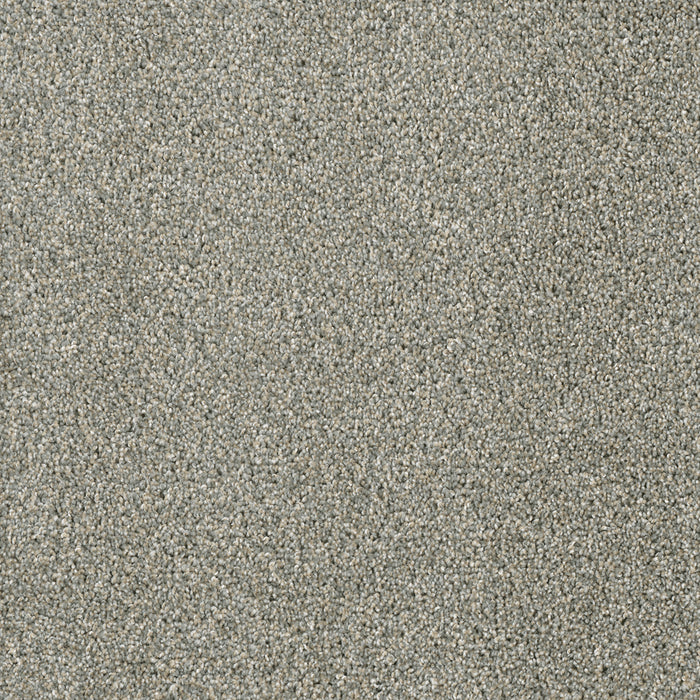 Acclaim Polyester Sandy Trail 495 Carpet Textured 1