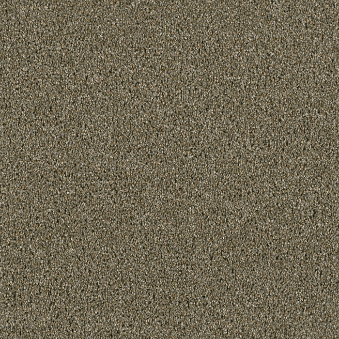 Acclaim Polyester Cinnamon Tea 528 Carpet Textured 1