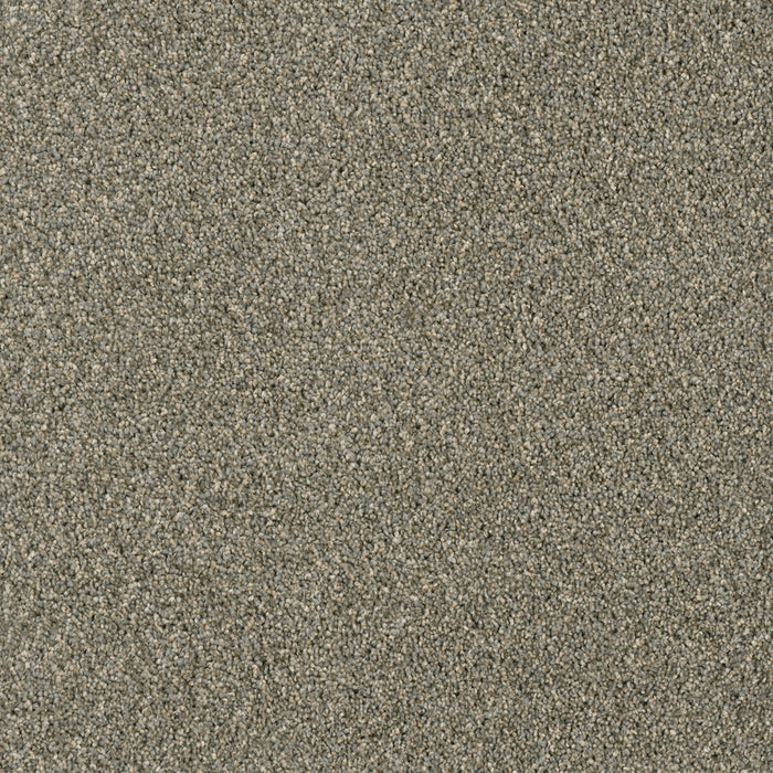 Acclaim Polyester Smooth Sailing 641 Carpet Textured 1