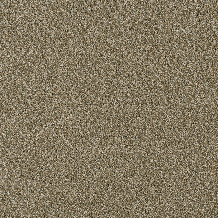 Acclaim Polyester Sienna Sand 680 Carpet Textured 1