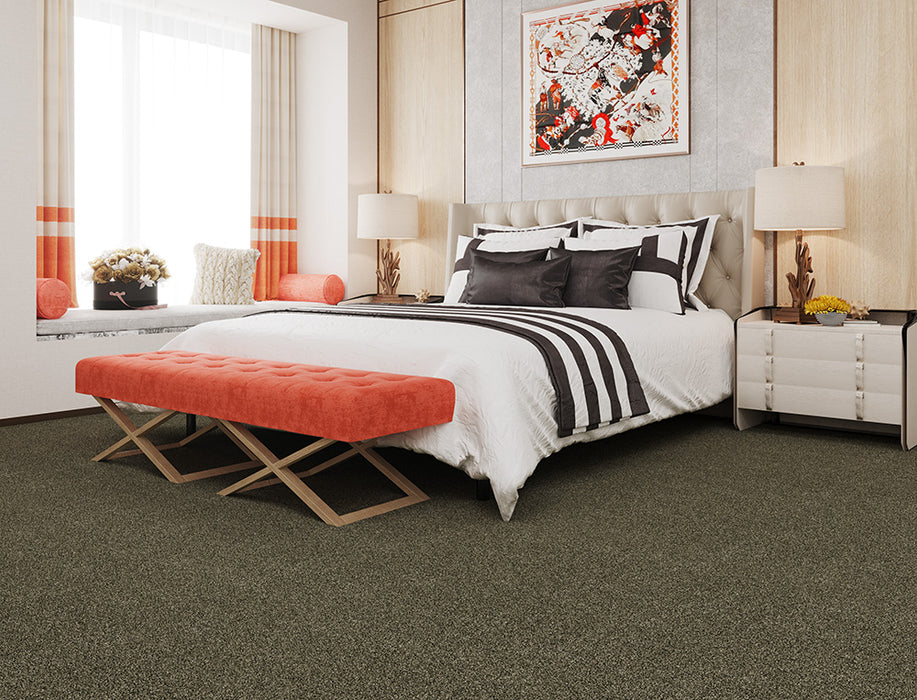 Acclaim Polyester Midnight Shadow 427 Carpet Textured 2