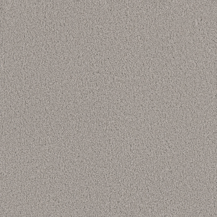 Beach Club III Polyester Dreamer 2065 Carpet Textured 1