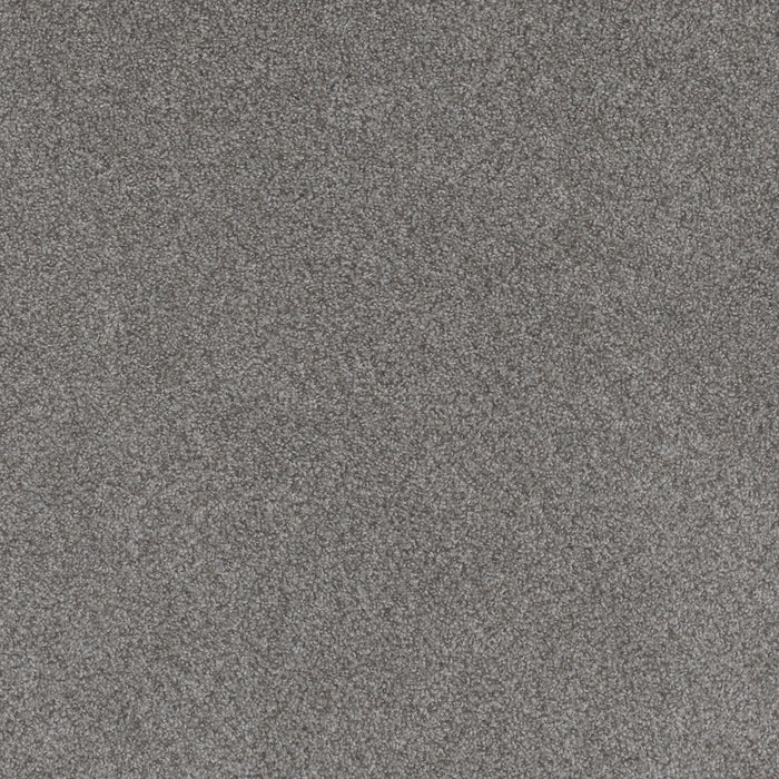 Beach Club II Polyester Palazzo 4008 Carpet Textured 1