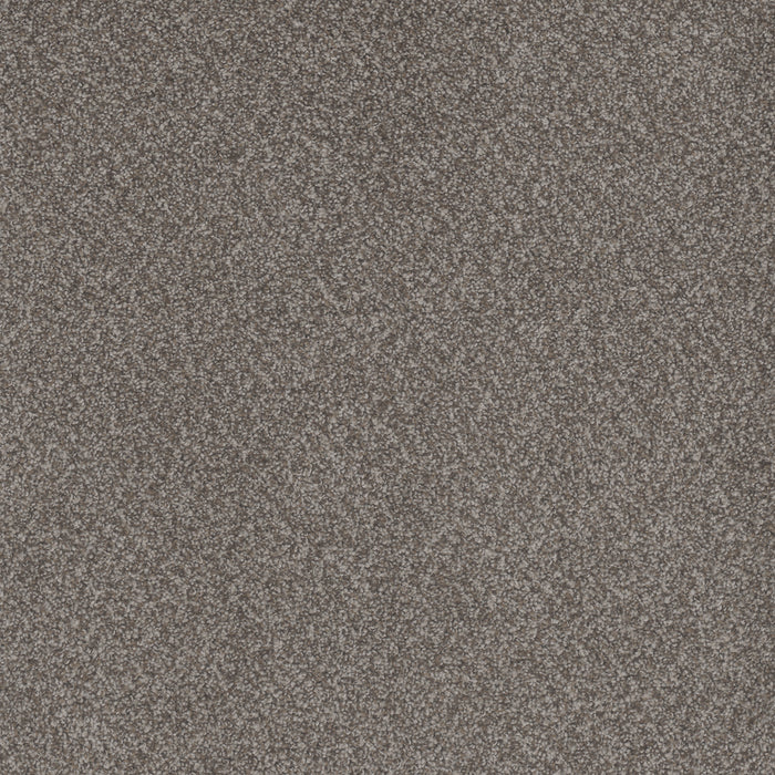 Beach Club I Polyester Encore 4094 Carpet Textured 1