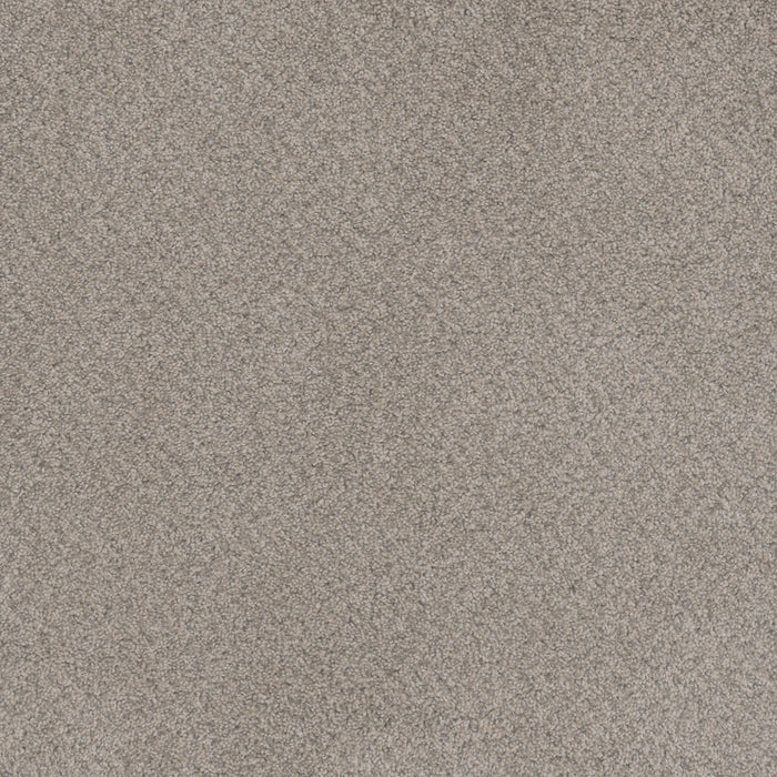 Beach Club II Polyester Chambray 4229 Carpet Textured 1