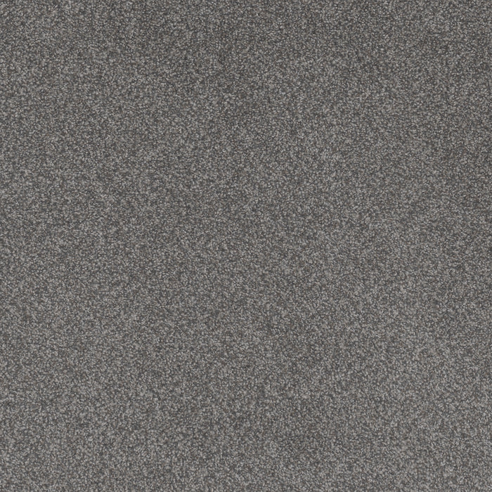 Beach Club II Polyester Forget Me Not 4255 Carpet Textured 1