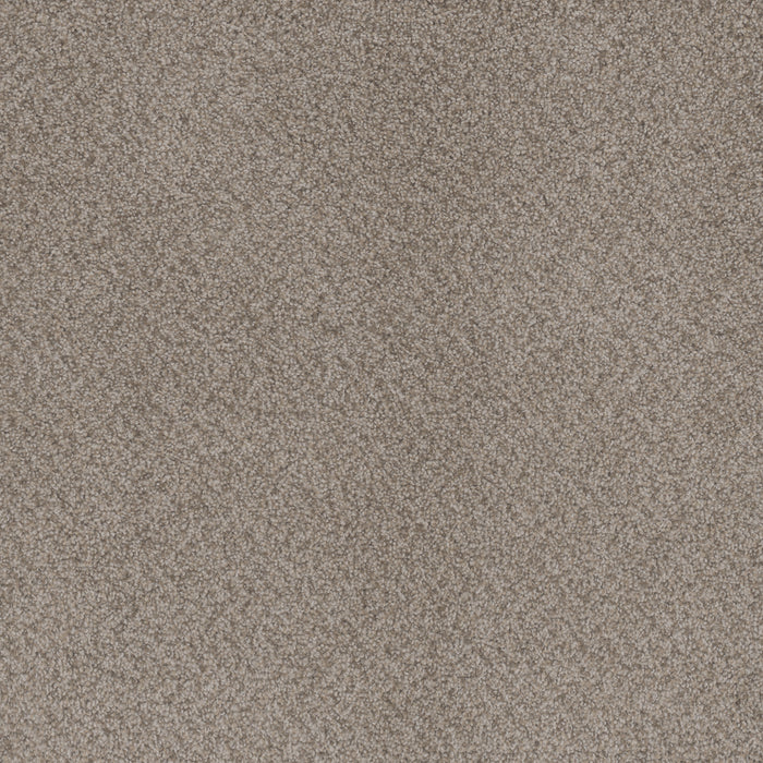 Beach Club I Polyester Sahara 4269 Carpet Textured 1