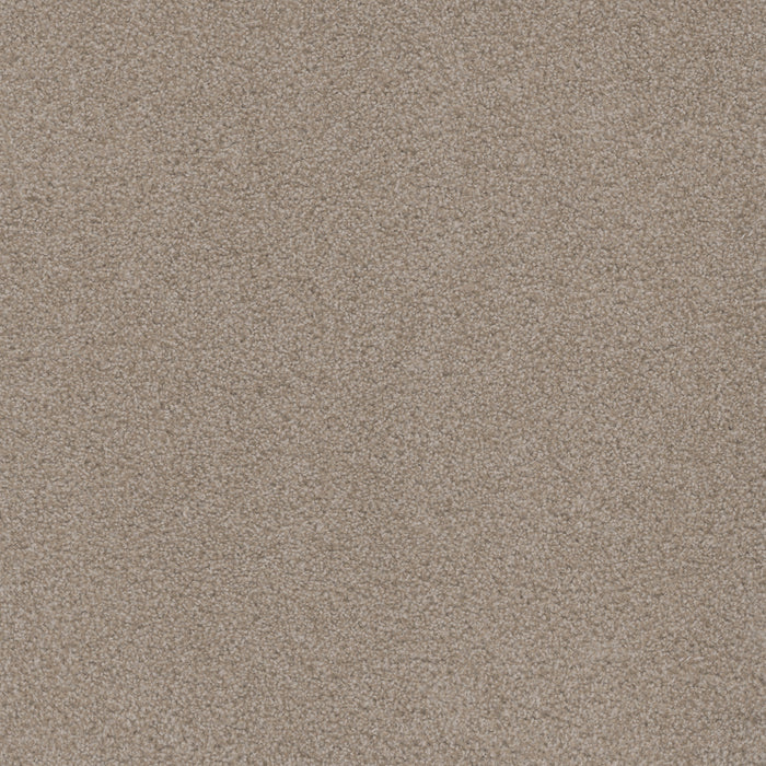 Beach Club I Polyester Haystack 4285 Carpet Textured 1
