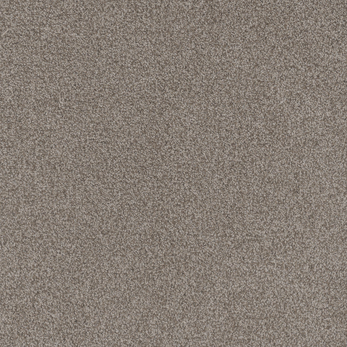 Beach Club III Polyester Roman 4345 Carpet Textured 1