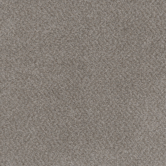 Beach Club I Polyester Spanish Moss 4379 Carpet Textured 1