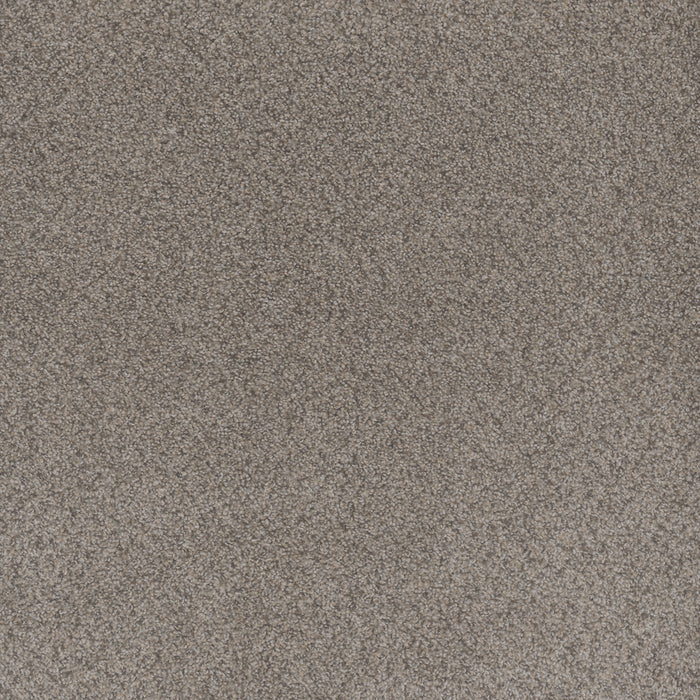 Beach Club III Polyester Canyon 4470 Carpet Textured 1
