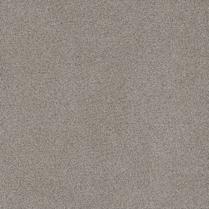 Beach Club I Polyester Garden Hedge 4630 Carpet Textured 1
