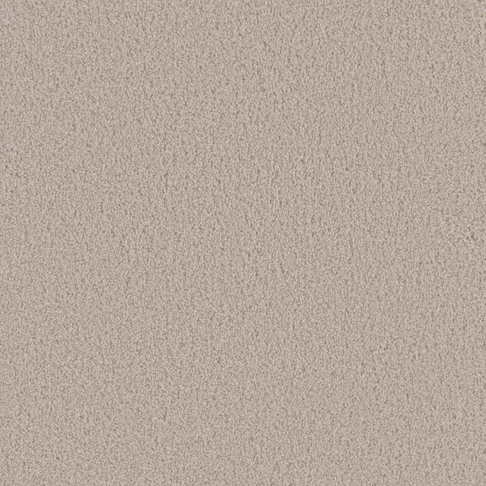 Beach Club I Polyester Champagne Fizz 6309 Carpet Textured 1