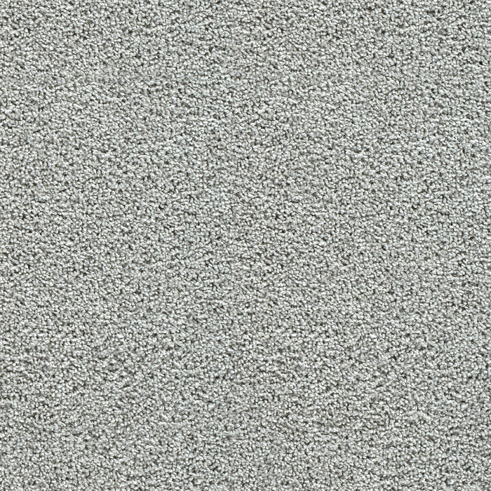 Captivating II Polyester Chilly Night 2776 Carpet Textured 1