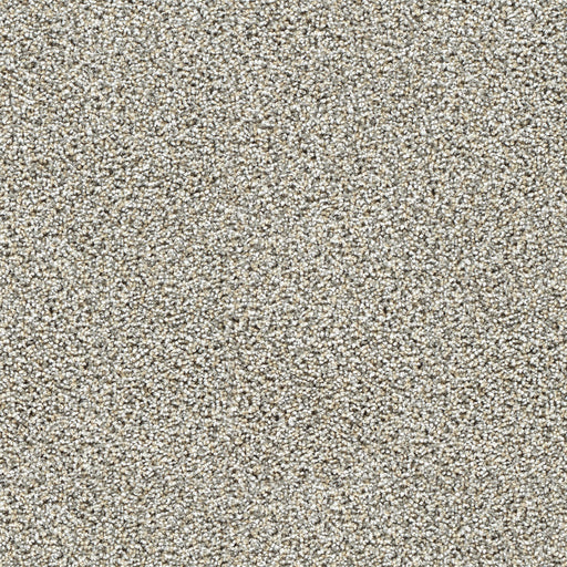 Captivating II Polyester Gingerbread 2811 Carpet Textured 1