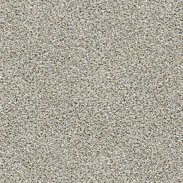 Captivating III Polyester Gingerbread 2811 Carpet Textured 1